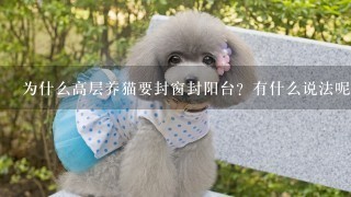 为什么高层养猫要封窗封阳台？有什么说法呢？