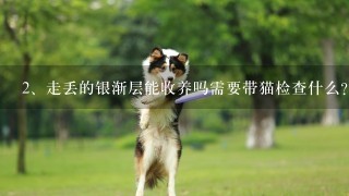 走丢的银渐层能收养吗需要带猫检查什么?