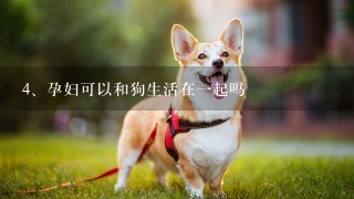 孕妇可以和狗生活在一起吗