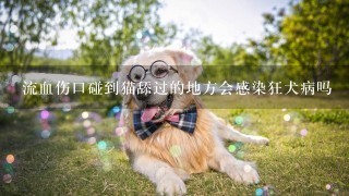 流血伤口碰到猫舔过的地方会感染狂犬病吗