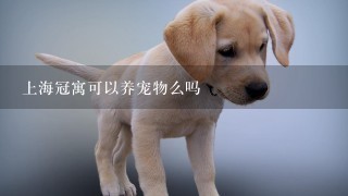 上海冠寓可以养宠物么吗