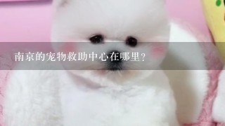 南京的宠物救助中心在哪里？