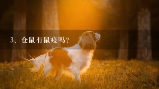 仓鼠有鼠疫吗?