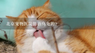 北京宠物医院能治乌龟的？