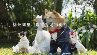 徐州哪里可以寄养宠物狗？