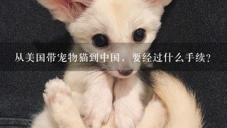 从美国带宠物猫到中国，要经过什么手续?