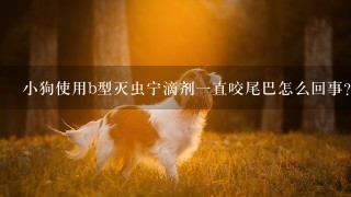 小狗使用b型灭虫宁滴剂一直咬尾巴怎么回事？