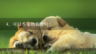 可以养宠物狐狸吗？