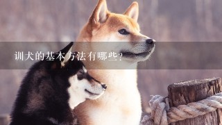 训犬的基本方法有哪些？