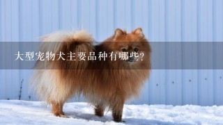 大型宠物犬主要品种有哪些?