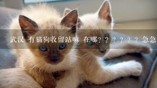 武汉 有猫狗收留站嘛 在哪？？？？？？急急急