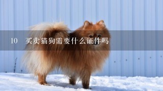 10 买卖猫狗需要什么证件吗