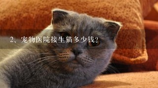 宠物医院接生猫多少钱？