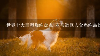 世界十大巨型蜘蛛盘点 亚马逊巨人食鸟蛛最长可达30