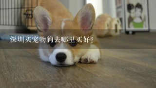 深圳买宠物狗去哪里买好？