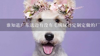 谁知道广东这边有没有毛绒玩具定制定做的厂家？急求