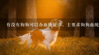 有没有狗狗可以办血统证书，主要求狗狗血统证书cku图片。前后图片参考