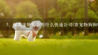 邮寄宠物狗狗用什么快递公司(寄宠物狗狗哪里可以寄)