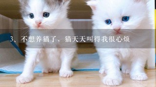 不想养猫了，猫天天叫得我很心烦