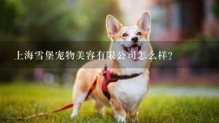 上海雪堡宠物美容有限公司怎么样？