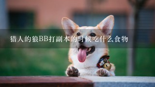 猎人的狼BB打副本的时候吃什么食物