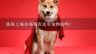 洛阳上海市场现在还有宠物街吗?