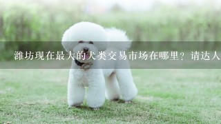 潍坊现在最大的犬类交易市场在哪里？请达人告知，谢