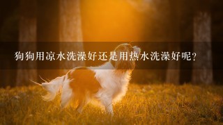 狗狗用凉水洗澡好还是用热水洗澡好呢？