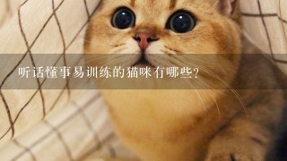 听话懂事易训练的猫咪有哪些？