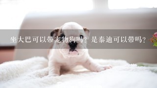 坐大巴可以带宠物狗吗？是泰迪可以带吗？