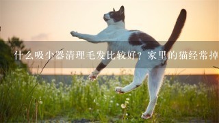 什么吸尘器清理毛发比较好？家里的猫经常掉毛