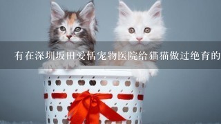 有在深圳坂田爱恬宠物医院给猫猫做过绝育的小伙伴吗