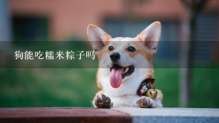 狗能吃糯米粽子吗