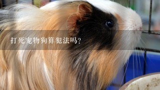 打死宠物狗算犯法吗？