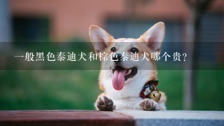 一般黑色泰迪犬和棕色泰迪犬哪个贵？