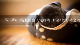 WOW<br/>6、0绝版的猎人宠物剃刀沼泽的野猪之魂在哪