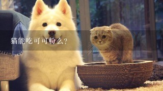 猫能吃可可粉么？