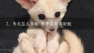 冬天怎么养蛇 冬季怎样养好蛇