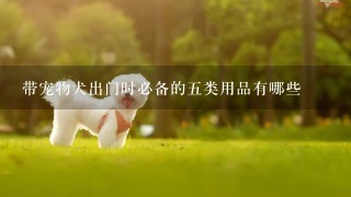 带宠物犬出门时必备的五类用品有哪些