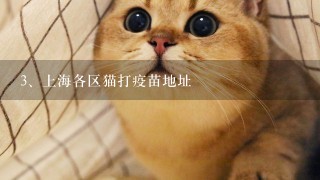 上海各区猫打疫苗地址