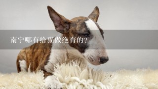 南宁哪有给猫做绝育的？