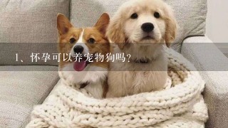 怀孕可以养宠物狗吗?