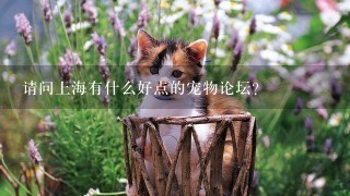 请问上海有什么好点的宠物论坛？