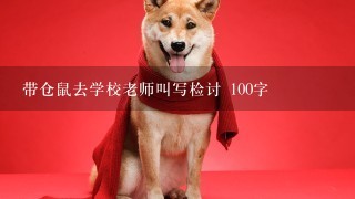 带仓鼠去学校老师叫写检讨 100字