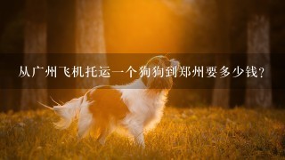 从广州飞机托运一个狗狗到郑州要多少钱？