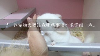 5 养宠物犬要注意哪些事项？求详细一点。