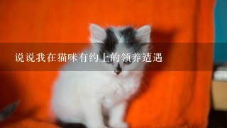 说说我在猫咪有约上的领养遭遇