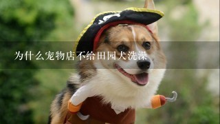 为什么宠物店不给田园犬洗澡