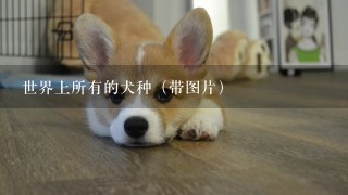 世界上所有的犬种（带图片）