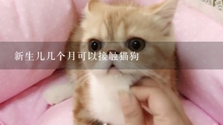 新生儿几个月可以接触猫狗